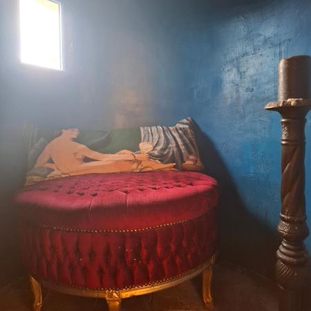 B&B Chateau De Fajac La Selve Pech-Luna エクステリア 写真
