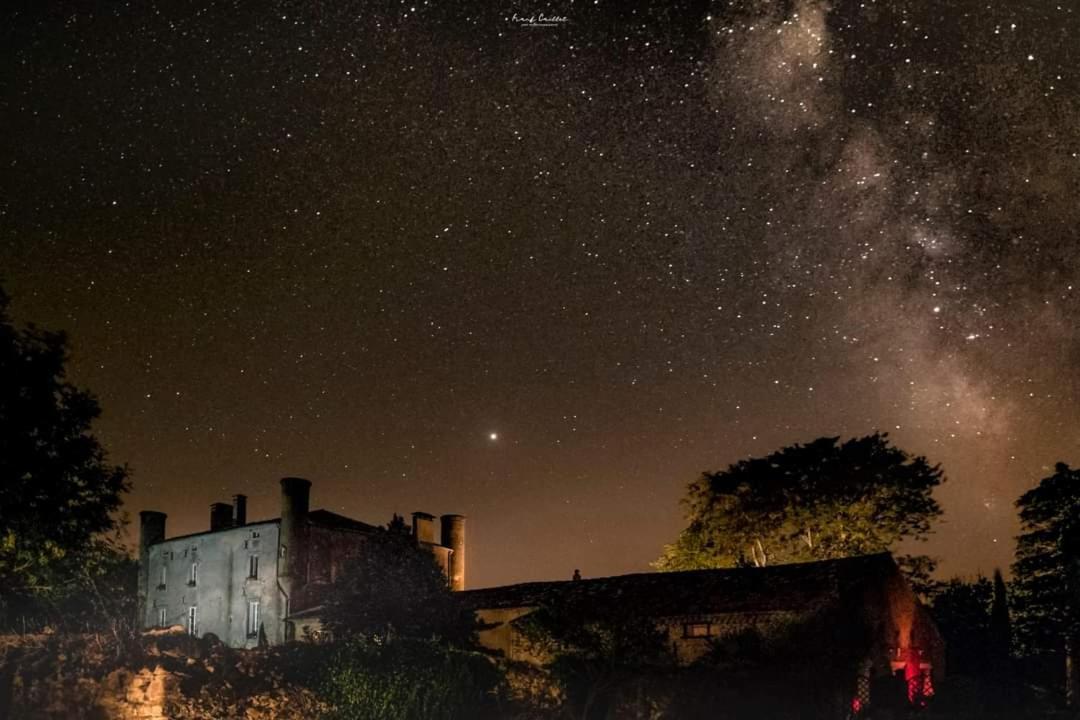 B&B Chateau De Fajac La Selve Pech-Luna エクステリア 写真